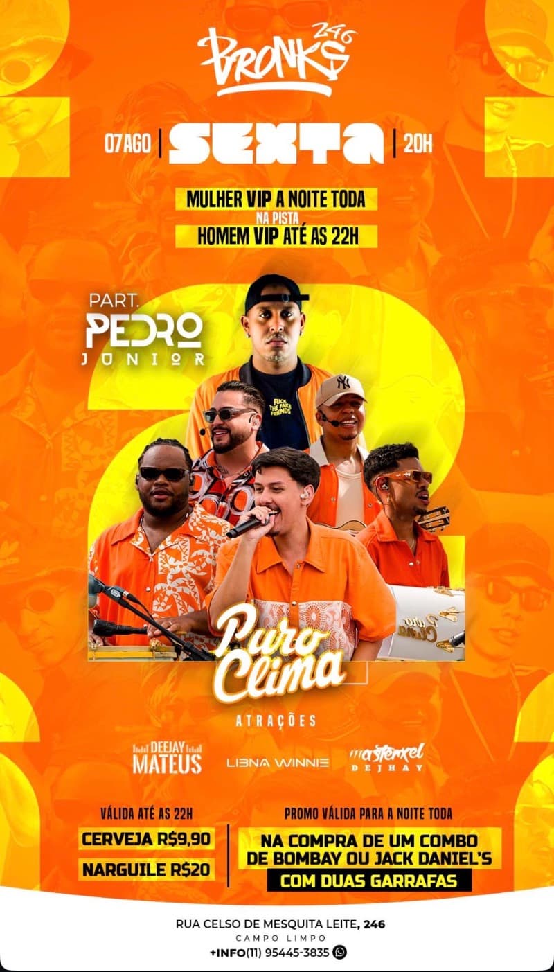 Flyer Bronks 246